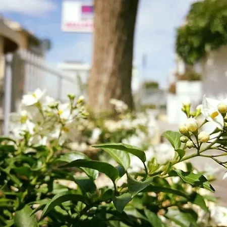 Vallechiara Lido Di Savio