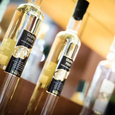 Vallechiara リド・ディ・サヴィオ