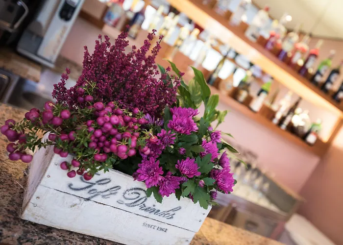 Vallechiara 酒店 丽都迪萨维奥