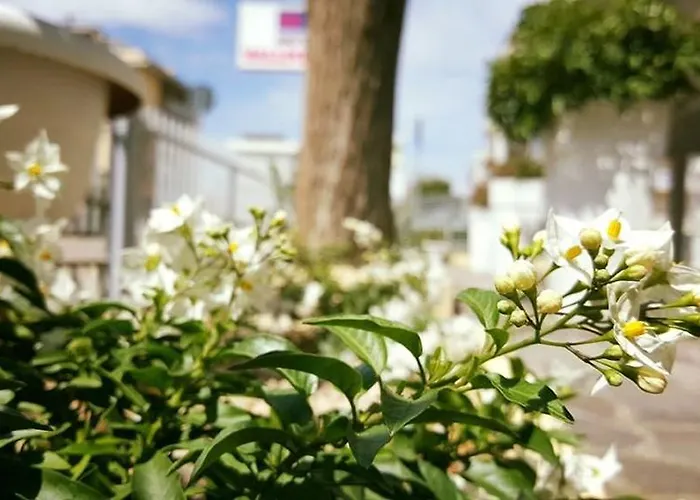 Vallechiara 丽都迪萨维奥